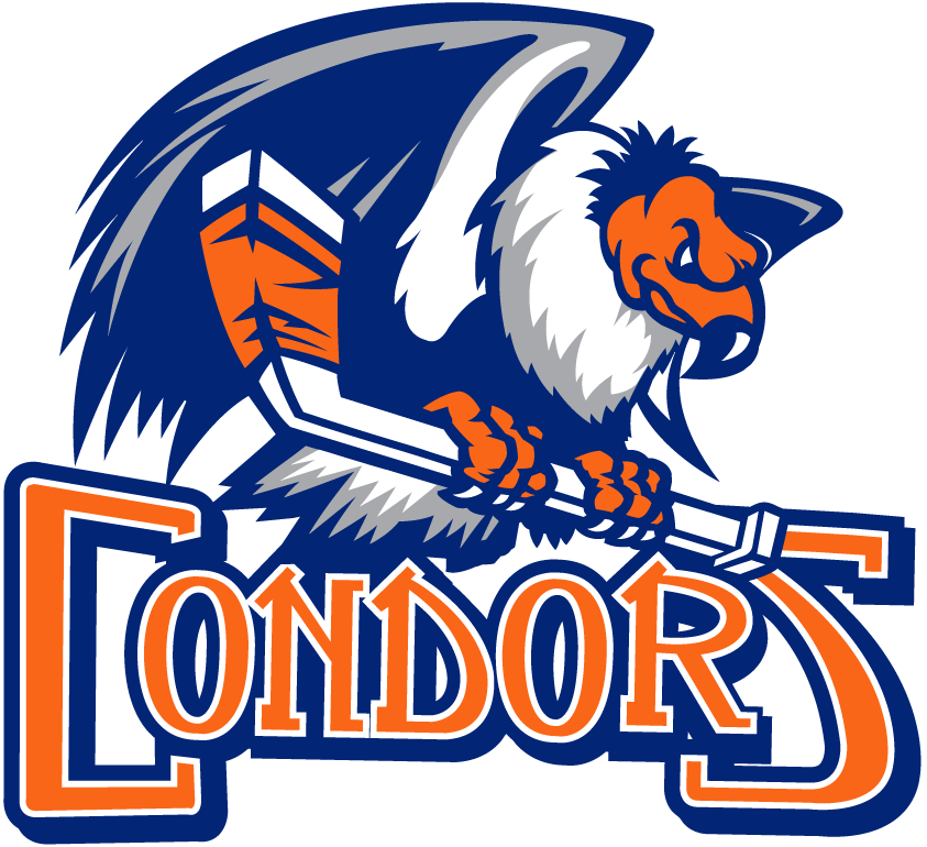 Bakersfield Condors 2015-2018 Primary Logo iron on transfers for clothing